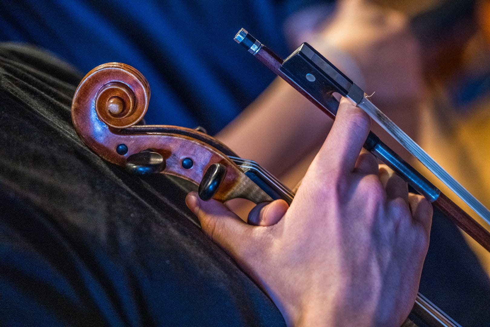 Erfolgreiche Teilnahme der Latina-Schüler am Landeswettbewerb „Jugend musiziert“